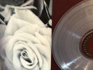 The Mountain Goats - All Eternals Deck Clear [ Vinyl LP] 180 Gram