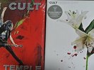 THE CULT Sonic Temple 2-LP 30th Anniv + Hidden City 2-LP 180g Vinyl 45rpm