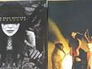 THE DEAD WEATHER Horehound Double LP 180g Vinyl + Sea Of Cowards LP Jack White