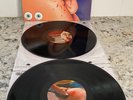 Butthole Surfers Electriclarryland  2 LP OG 1st Press 1996 Capitol w etch side 4