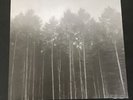 Richard Skelton Landings Beautiful Ambient Double Lp Bonus Cd Drone Experimental