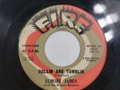 Elmore James & His Broom Dusters 45rpm 7