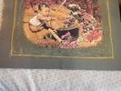MEAT PUPPETS Self Titled SST SST-009 LP VINYL IS VG+