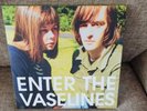 Enter The Vaselines Lp
