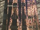 Joy Division Live In Preston 1980 Rare Red Vinyl Album 180g. ID;B12