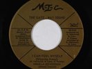 Funk 45 - Angela Jefferson - I Can Feel Myself Slipping Away - M-I-C - mp3