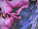 VELVET DAWN RUIN ROMANTICS PERTURBATOR LP CLOUDY PURPLE VINYL RECORD SEALED NEW