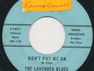 LAVENDER BLUES Don't Put Me On Private 60's Garage Texas Fuzz Guitar 45 HEAR