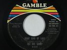 Northern Soul 45 - Dee Dee Sharp - What Kind Of Lady - Gamble - mp3