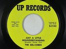 Northern/Sweet Soul 45 - Del-Cords - Just A Little Misunderstanding - Up NM mp3