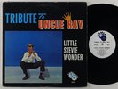 Little Stevie Wonder 