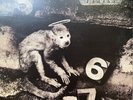 pixies - Monkey Gone To Heaven 12 Inch Vinyl