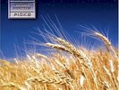 Dick's Picks Volume Nineteen by Grateful Dead (Vinyl, 2021, 6-Disc, Real Gone...