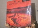 Alice in Chains - Dirt 2009 MOV vinyl record LP 180 gram audiophile pressing vg+