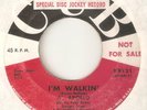 AL APOLLO Im Walkin CUB PROMO  NORTHERN SOUL USA 45