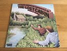 The Ozark Mountain Daredevils-The lost cabin sessions.lp american