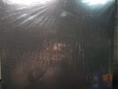 Donda by Kanye West (Record, 2022)  NEW  4xLP Vinyl Album