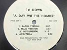 1ST DOWN A DAY WIT THE HOMIEZ - PROMO - VINYL LP 90’S HIP HOP RAP PAYDAY RECORDS