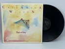 Cassandra Wilson ‎Point Of View 1986 Contemporary Jazz Vinyl LP Germany JMT