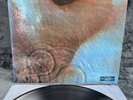 LP Pink Floyd - Meddle | 1971 Japan Press | VG/EX+ | Poster | Psychedelic Rock