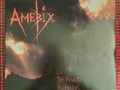 The Power Remains LP by Amebix vinyl 1993 European import VG+ SKULD010