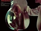 Johnny Winter The Progressive Blues Experiment Translucent Gold Audioph (Vinyl)