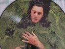ALAIN BASHUNG Fantaisie militaire LP PICTURE DISQUE RARE