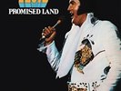 Elvis Presley - Promised Land [Gold Vinyl] NEW Sealed Vinyl LP Album