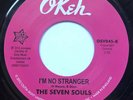 The Seven Souls