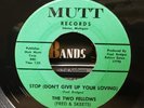 The Two Fellows - Stop (Don't Give Up Your Loving) - Mutt 45 VG NORTHERN SOUL