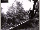 Timber Timbre / TIMBER TIMBRE (LP, LTD.SMOKE MARBLE VINYL) / Full Time Hobby /