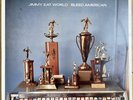 Jimmy Eat World – Bleed American 12” Vinyl LP Rock US Repress 2003 VERY GOOD