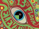 The Psychedelic Sounds Of The 13th Floor Elevators 1966 Vinyl LP IA-LP-1 MINT