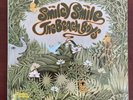 The Beach Boys “Smiley Smile” Original 12” Vinyl Record Album LP 1967 ST-9001