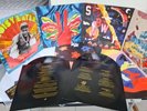 The Avalanches Wildflower double 2LP vinyl poster fold out gatefold sleeve