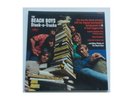 The Beach Boys - Stack-O-Tracks - LP  Booklet