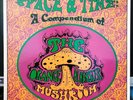 The Orange Alabaster Mushroom - Space & Time A Compendium LP   NM UK Original