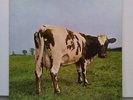 PINK FLOYD Atom Heart Mother LP (Harvest Q4 SHVL 781)