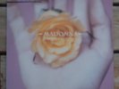 Madonna Bedtime Story Junior Vasquez Maverick Records 1995 House 12