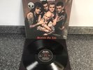 LP VINYL ROSE TATTOO ALBUM SCARRED FOR LIFE V182 UK PRESS STILL IN CELLOPHANE NM