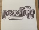 The Prodigy - Experience - Vinyl Record Album Double Album EXCELLENT