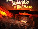 Joe Bonamassa Muddy Wolf at Red Rocks (UK IMPORT) Vinyl / 12