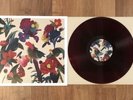 Washed Out - Paracosm MAROON vinyl LP record Out of Print