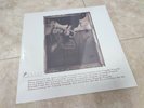 Pixies Surfer Rosa 4AD CAD 803 180gm Vinyl LP Reissue New Sealed