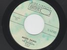 SURF GARAGE ROCKABILLY INSTROS - GAMBLERS - MOON DAWG  -HEAR -1960 WORLD PACIFIC