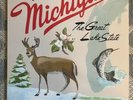 Sufjan Stevens - Greetings from Michigan The Great Lake State vinyl record -2 LP