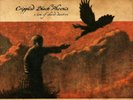 Crippled Black Phoenix A Love of Shared Disasters (Vinyl) 12