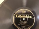 HOT JAZZ DIXIE WASHBOARD BAND Coli=umbia 14128 What Till You see my baby EE+