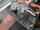 BADGER - ONE LIVE BADGER 1ST UK PRESS 1973 YES ROGER DEAN POP UP