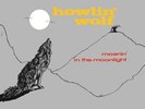 Moanin' In The Moonlight by Howlin' Wolf 1986 chess lp brand new and sealed